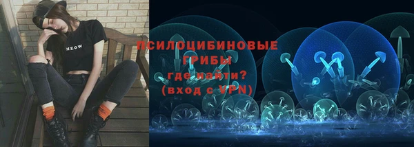 ГАЛЛЮЦИНОГЕННЫЕ ГРИБЫ Каменка
