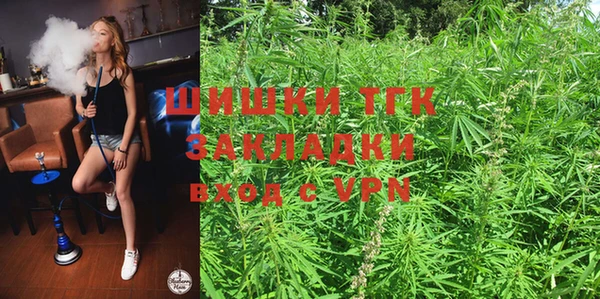 ГАЛЛЮЦИНОГЕННЫЕ ГРИБЫ Каменка