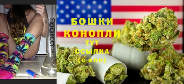 ГАЛЛЮЦИНОГЕННЫЕ ГРИБЫ Каменка