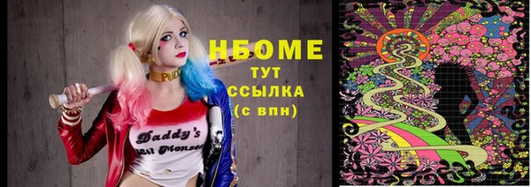 ГАЛЛЮЦИНОГЕННЫЕ ГРИБЫ Каменка