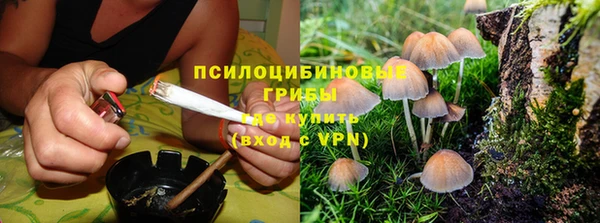 мет Каменногорск