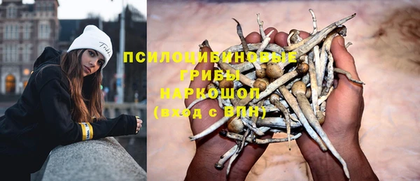 мет Каменногорск