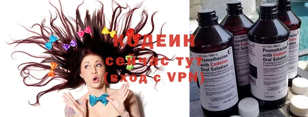 ГАЛЛЮЦИНОГЕННЫЕ ГРИБЫ Каменка