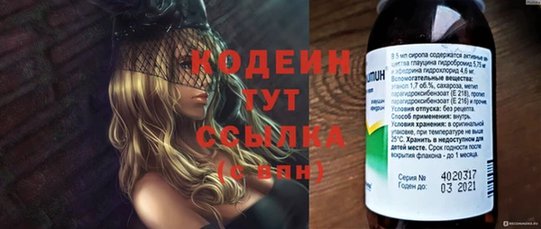 ГАЛЛЮЦИНОГЕННЫЕ ГРИБЫ Каменка