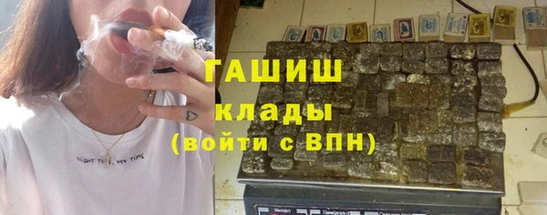 ГАЛЛЮЦИНОГЕННЫЕ ГРИБЫ Каменка
