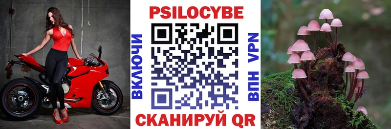 Купить закладки Зеленогорск Галлюциногенные грибы мицелий